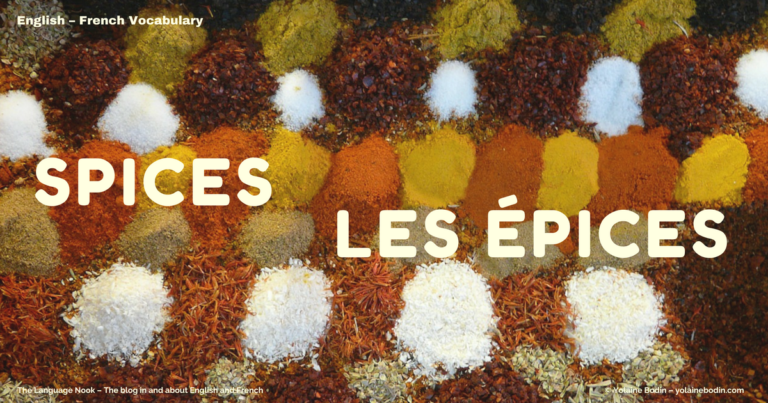 15 Common Spices: English – French Vocabulary 