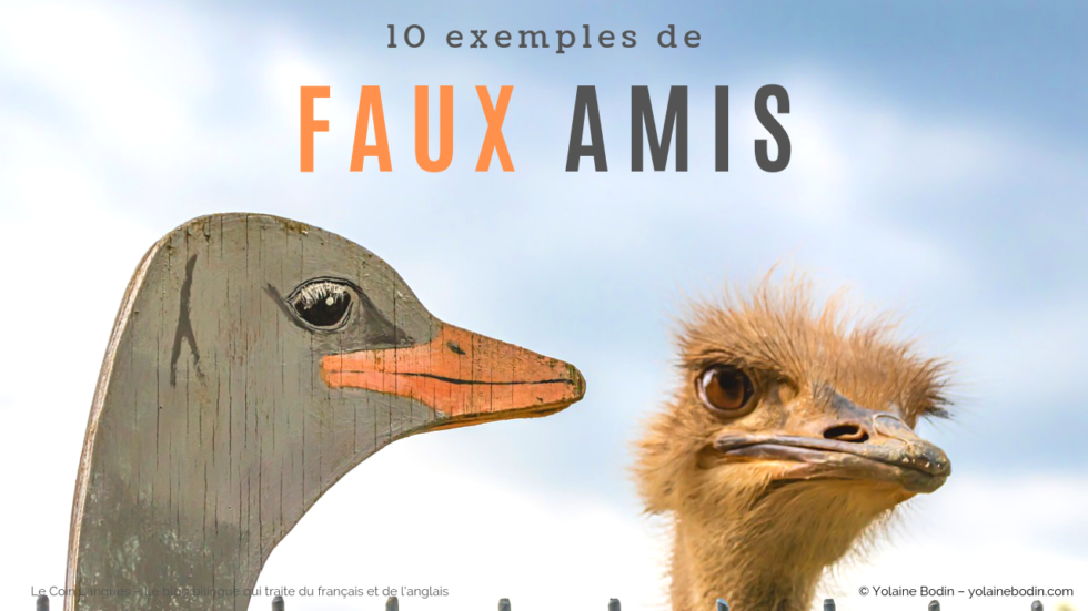 faux-amis-anglais-et-fran-ais-10-exemples-conna-tre-yolaine-bodin